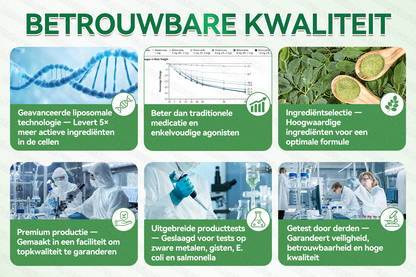 Officiële winkel | 🌿🌿𝗚𝗟𝗢𝗥𝗘𝗡𝗗𝗔® Moringa · Berberine + NAD+ – 10-in-1 Geavanceerde Nano Micronaald Patch (slechts 1× per dag, zichtbare veranderingen binnen 7 dagen) | Voor obesitas, losse huid, diabetes, slaapapneu, gewrichtsproblemen en meer